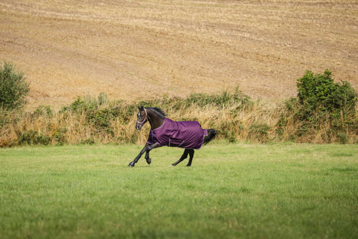 bucas Outdoordecke Freedom Turnout 50 g Blueberry